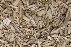 biomass boilers Polbathic