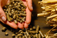 free Polbathic biomass boiler quotes